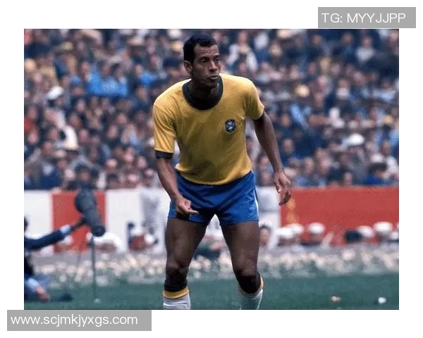 巴西足球明星因酗酒问题引发热议的背后故事揭秘