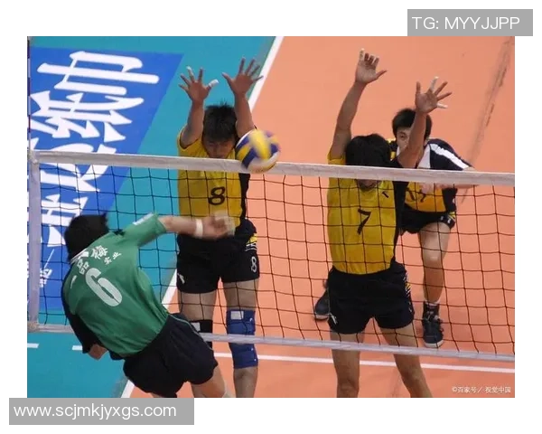 深圳排球队在挑战赛中的团队协作表现分析与点评